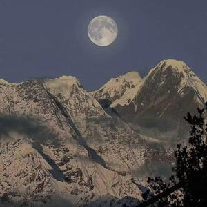 黄片看美女洗澡视频
